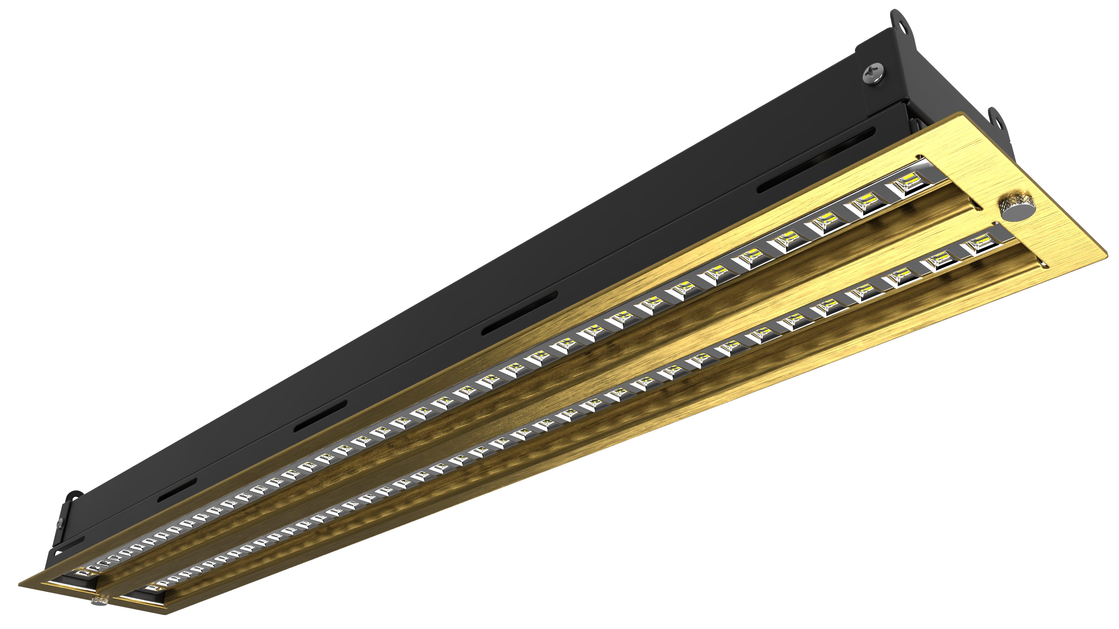 VLR™ 24 L2 Brushed Brass